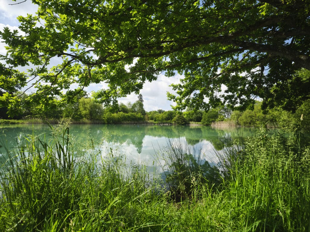 Grounds of Kimbolton School